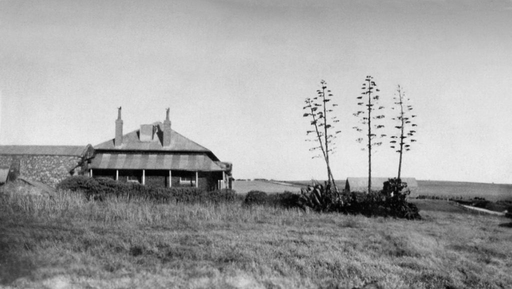 Dalkeith Farm and its Agave Americana (Century plant)